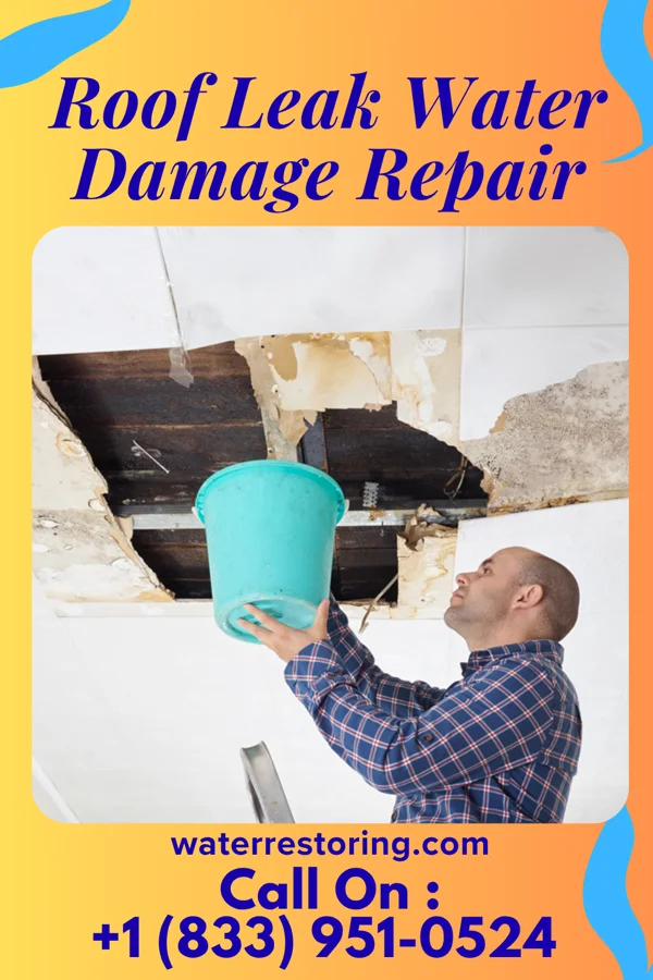 Roof Leak Water Damage Repair in Galva, KS